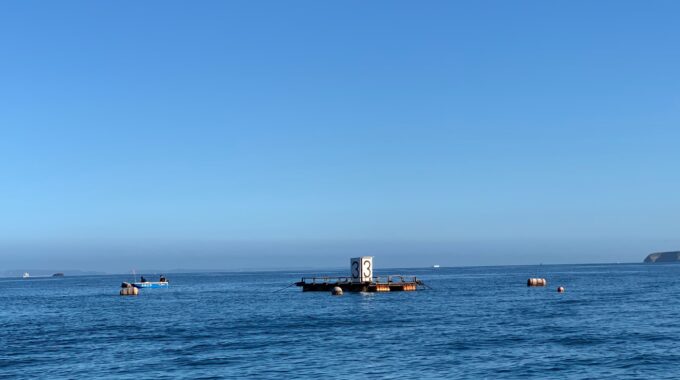 冨浦湾の沖、イカダ周りの写真です