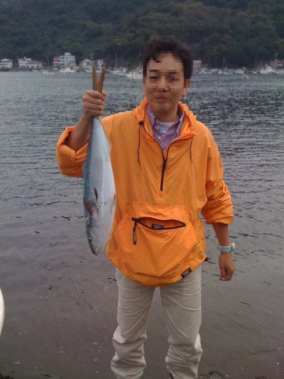 戸田港で釣れたワラサの写真