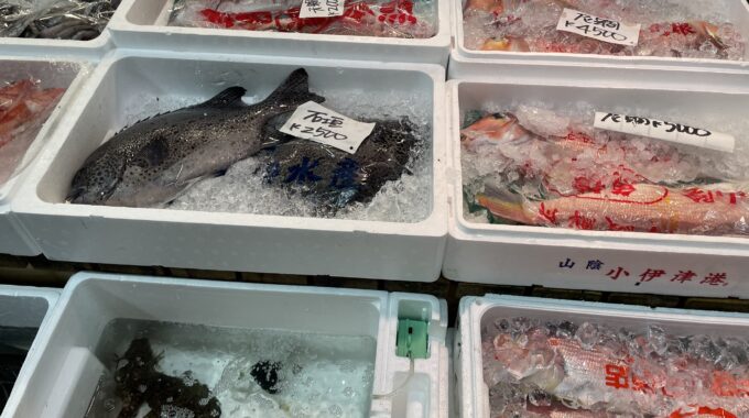 千葉市地方卸売市場魚の値札に注意写真
