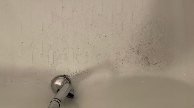浴室換気扇のファンを洗った汚れ写真