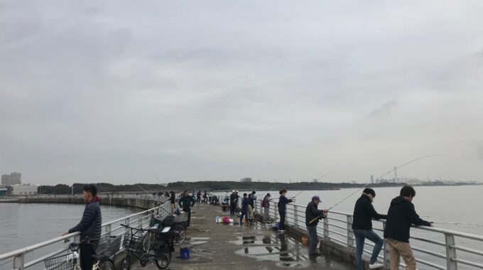 検見川浜突堤の魚が寄っているときの休日の混雑写真