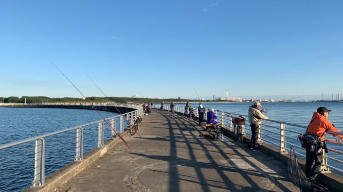検見川浜突堤の魚が寄っているときの平日の混雑写真