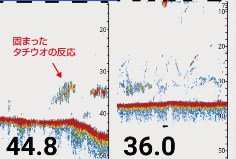 シマノ探見丸 CV FISHでの太刀魚の反応比較画像