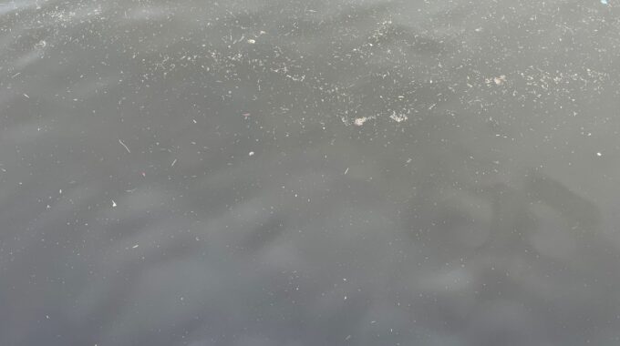 6月10日の検見川浜突堤の海の色の写真