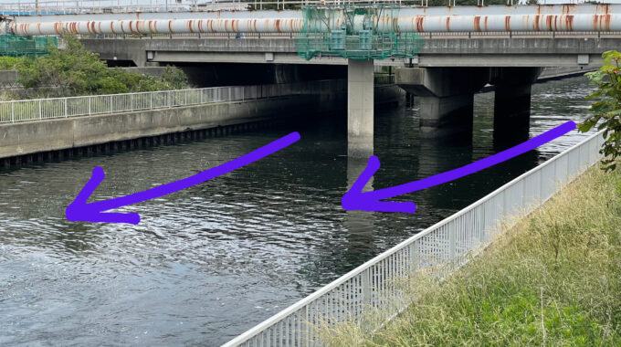 浜田川メッセ大橋下流のポイント写真