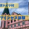 東京ドイツ村プリンセス体験のアイキャッチ