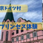 東京ドイツ村プリンセス体験のアイキャッチ