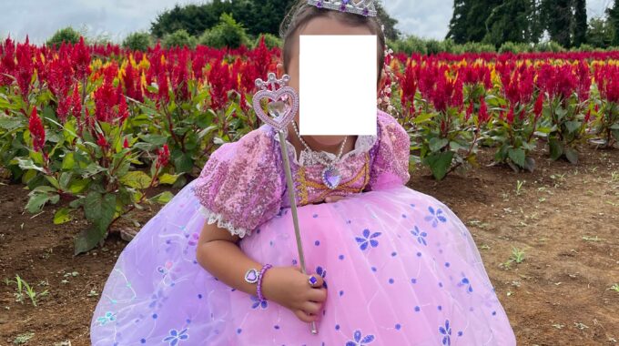 ドレスを着た娘の写真