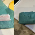 グリーンパーチ紙の使いかt