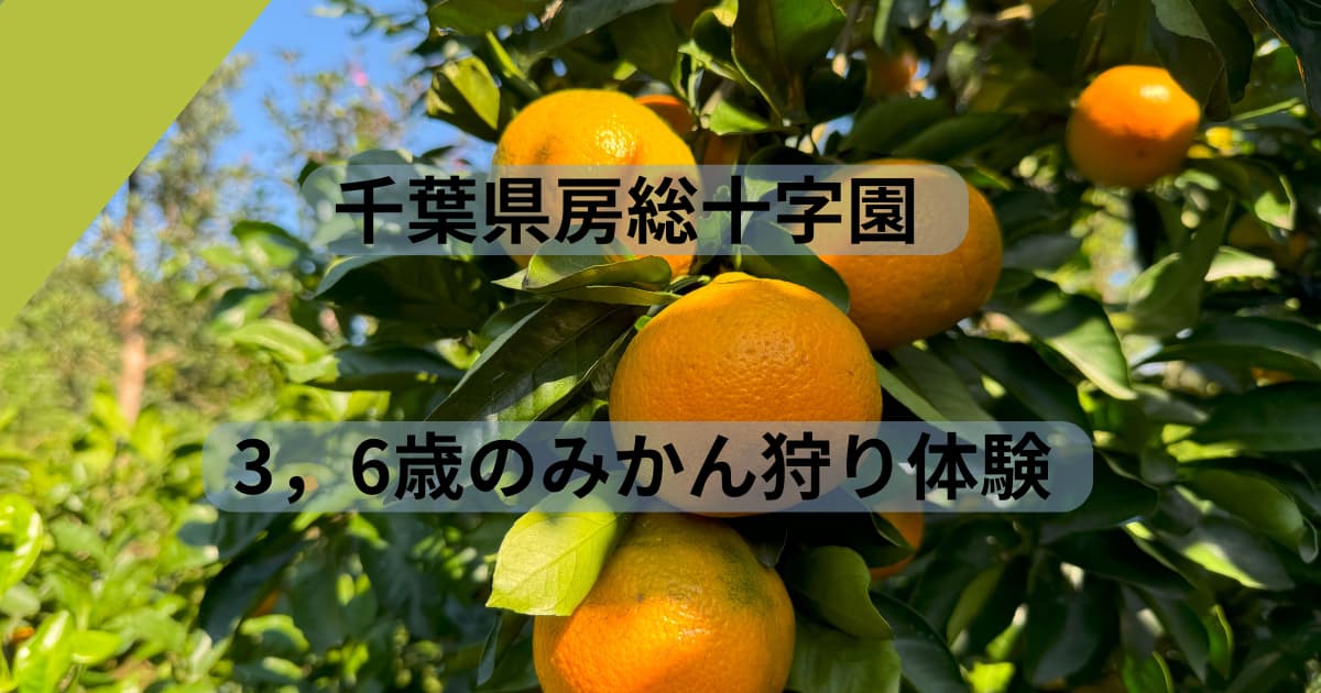 房総十字園のみかん狩り体験アイキャッチ