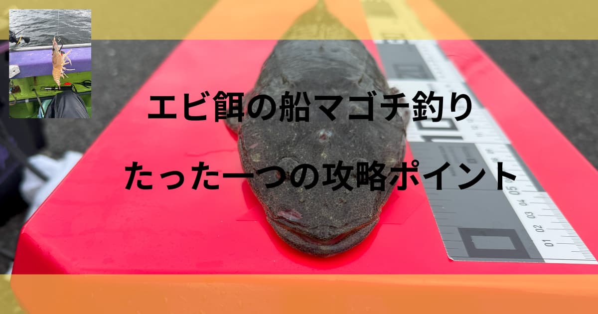 船マゴチ釣りのアイキャッチ