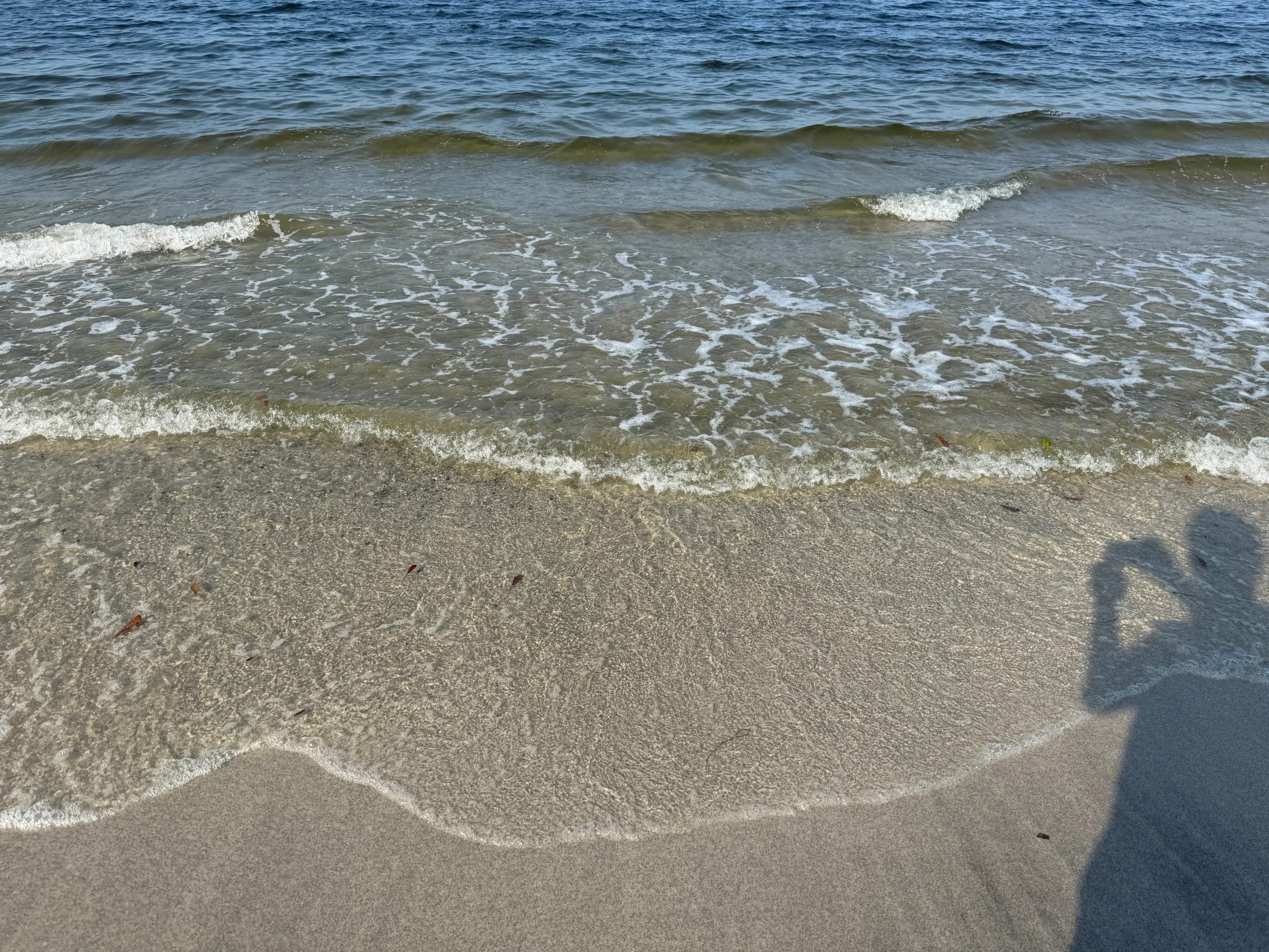 稲毛の浜 海水浴場の水質写真