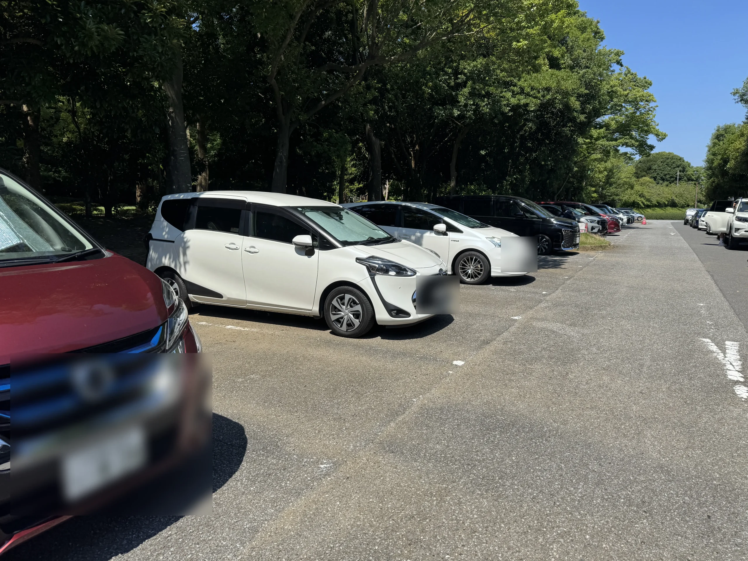 香澄公園じゃぶじゃぶ池の駐車場写真