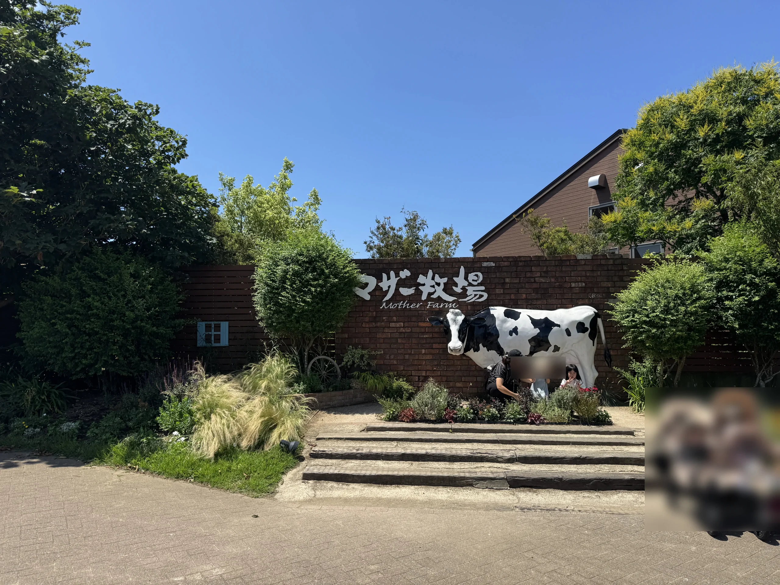マザー牧場滞在時間の全景写真