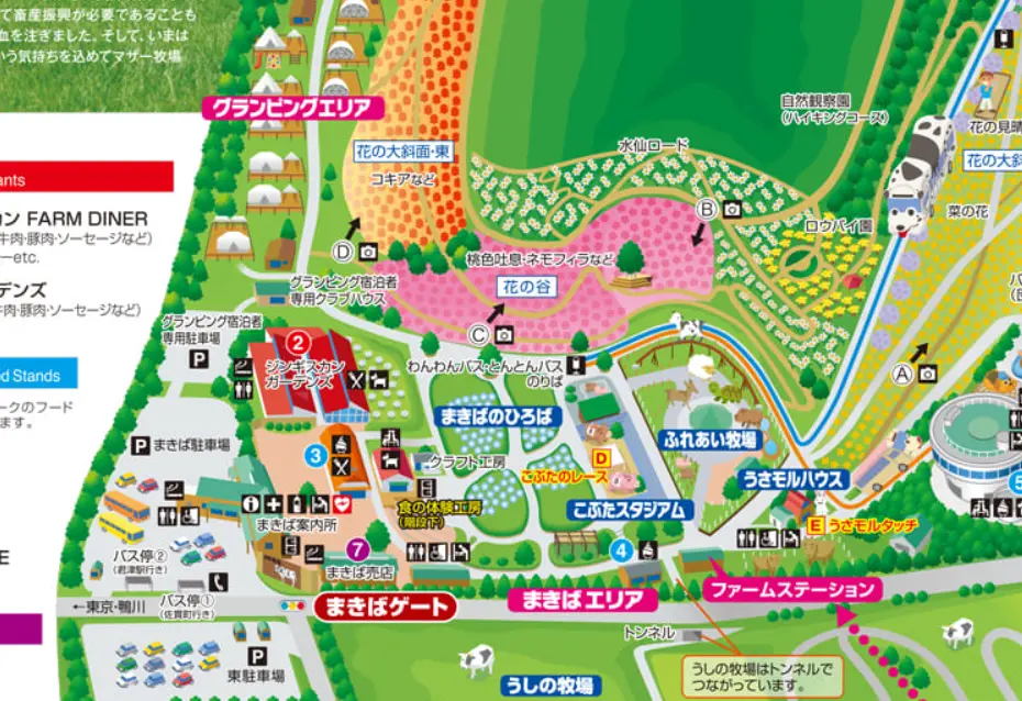 マザー牧場滞在時間の牧場エリア画像