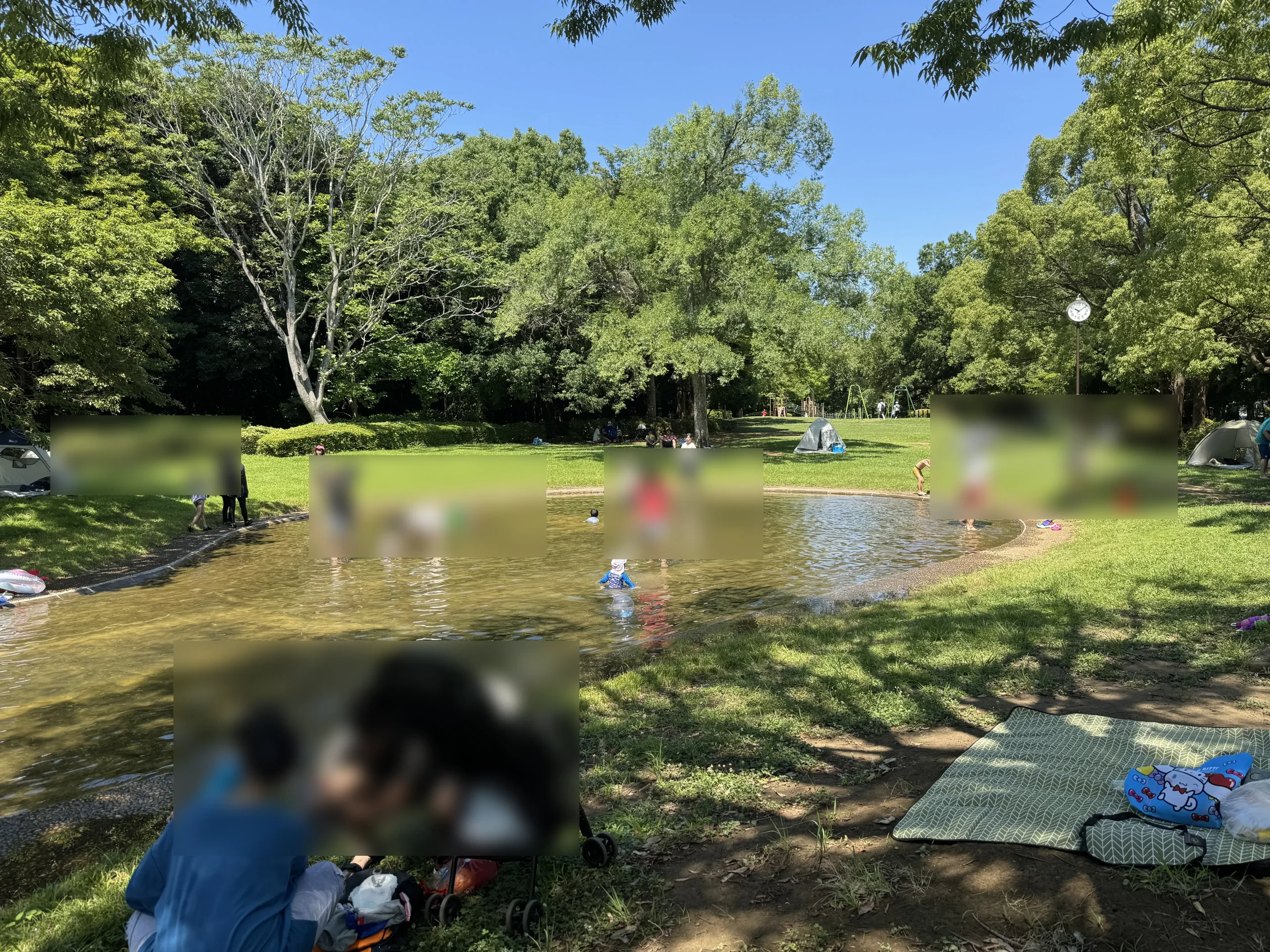 香澄公園の全景写真