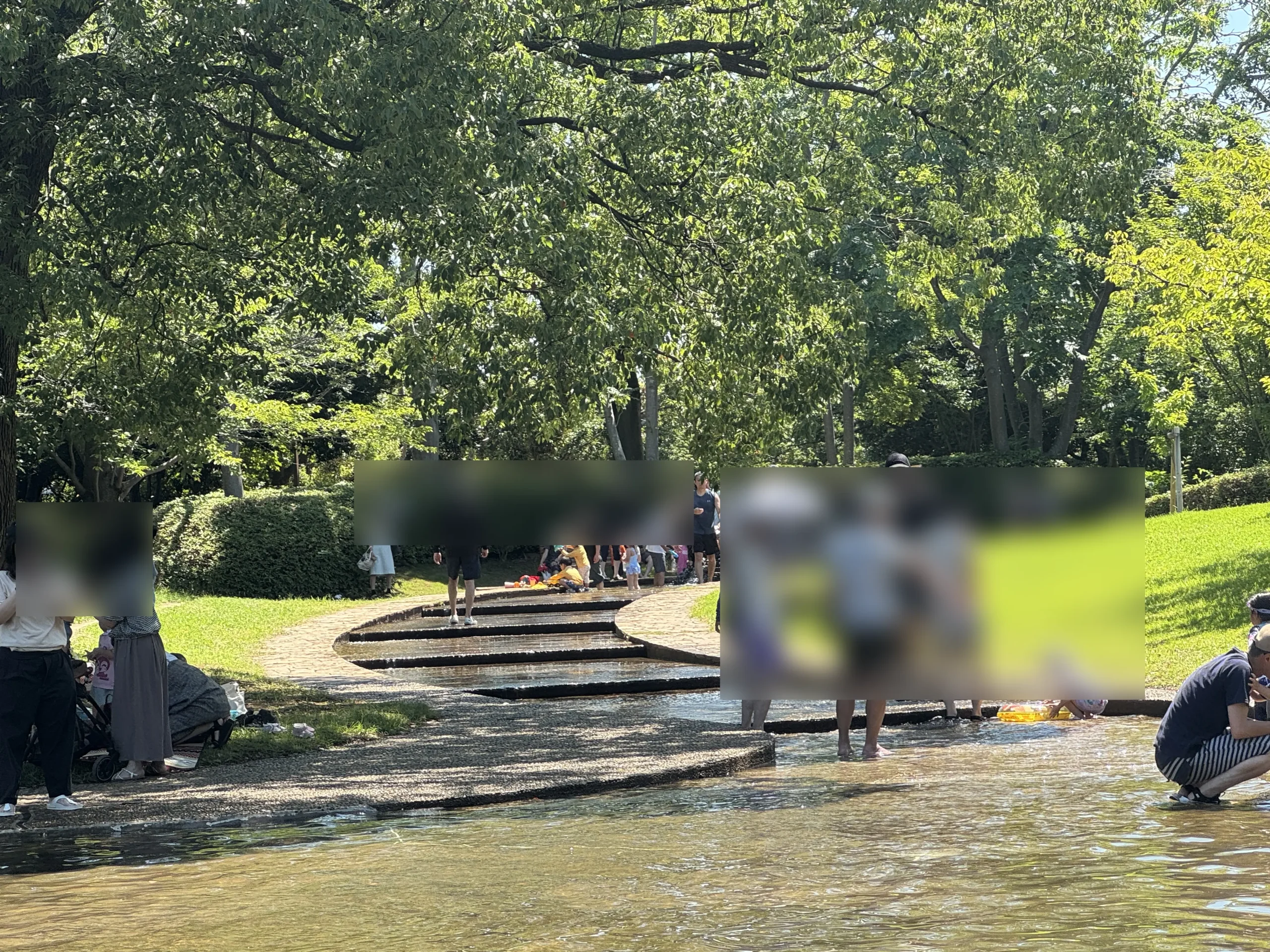香澄公園じゃぶじゃぶ池の上流写真