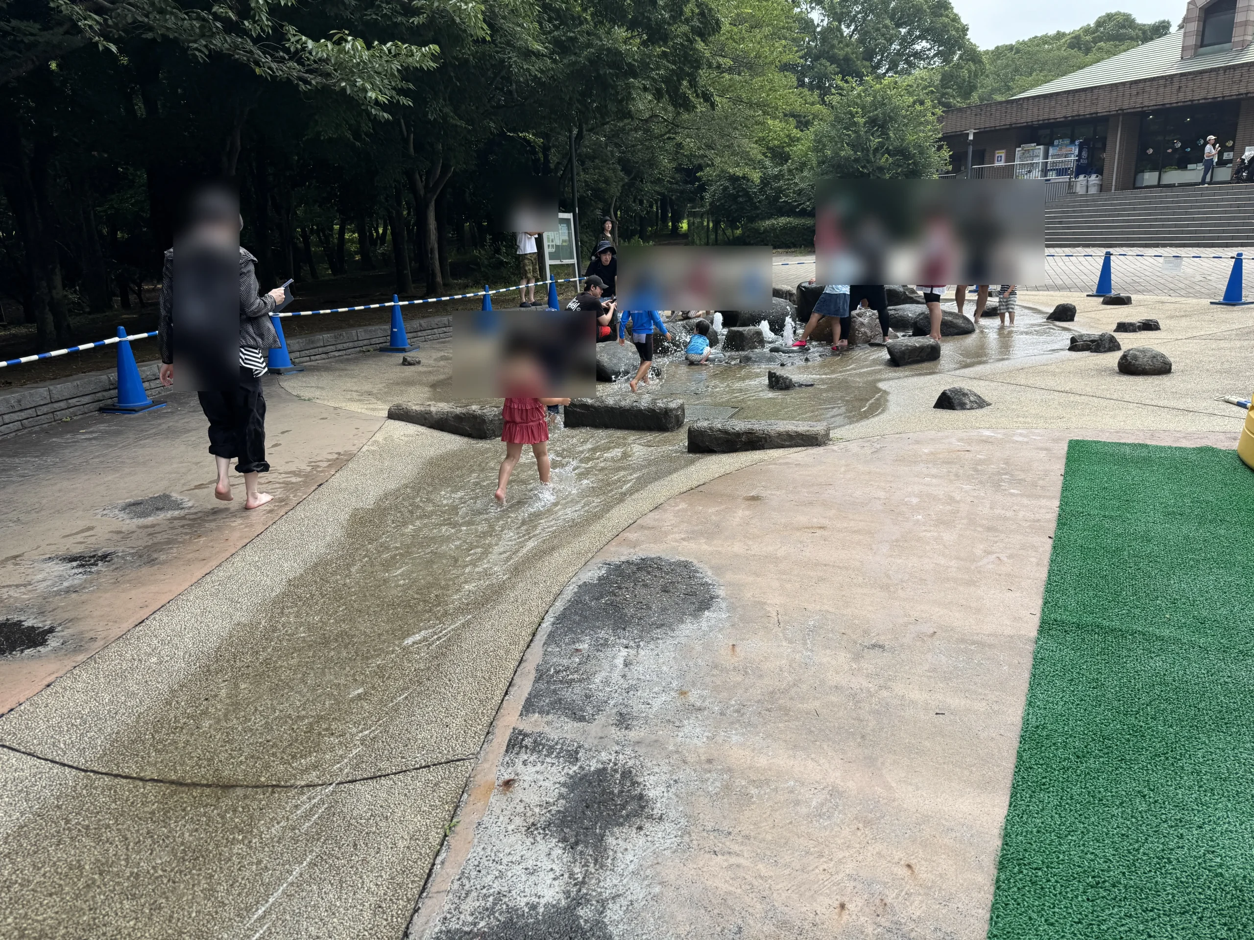 青葉の森公園水遊びの上流写真