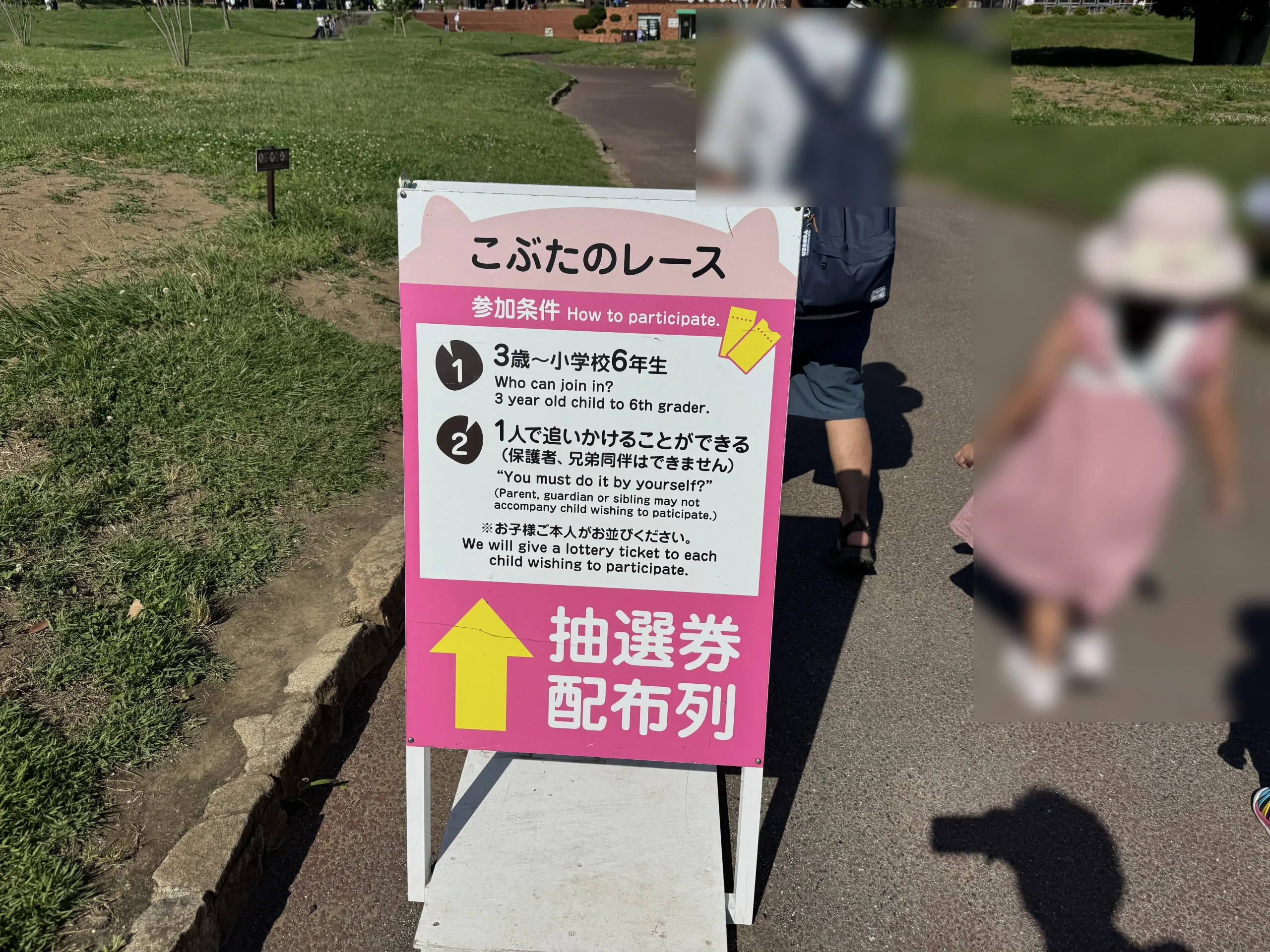 マザー牧場滞在時間の子豚レース写真