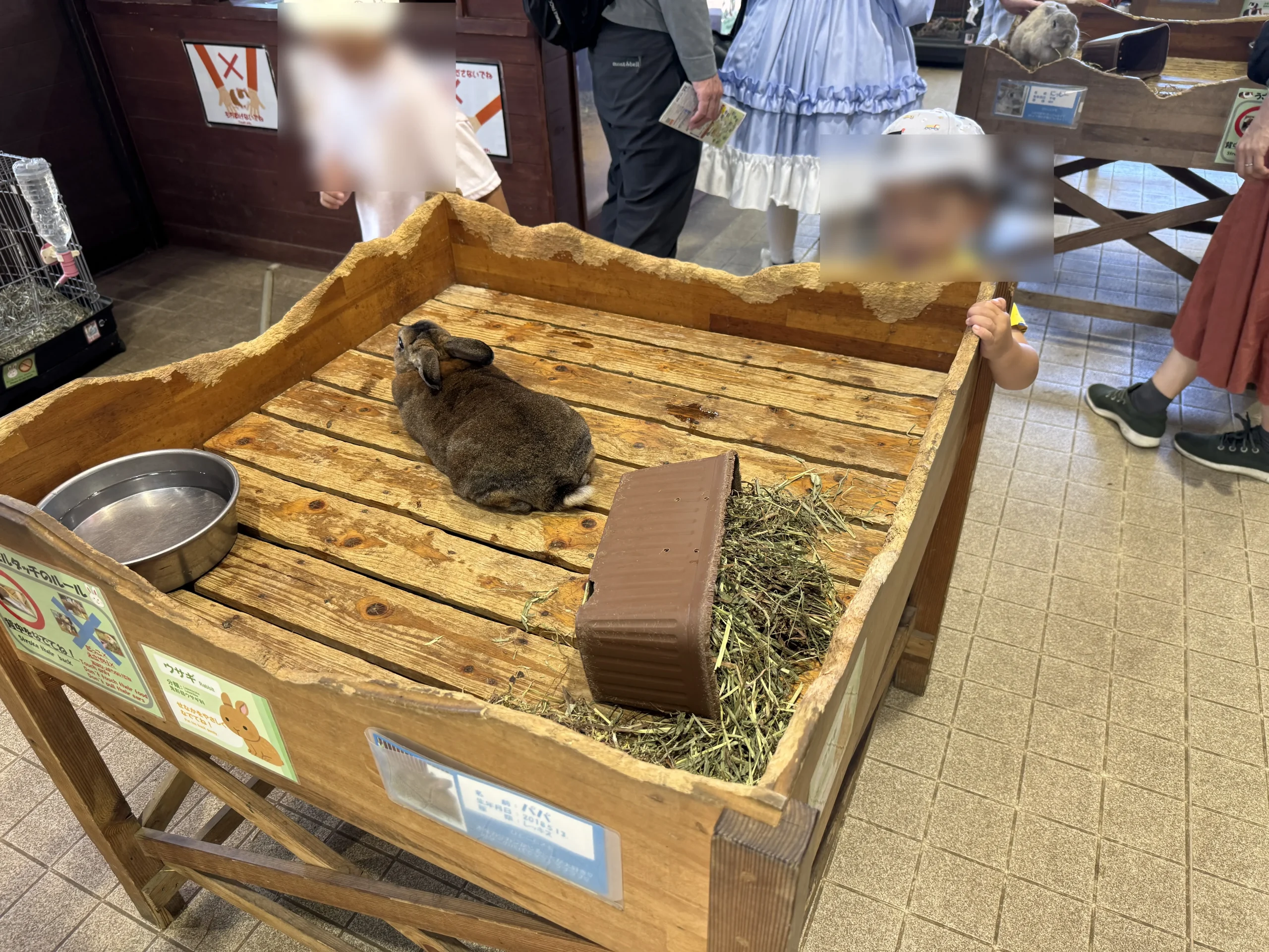 マザー牧場滞在時間うさもるたっち写真