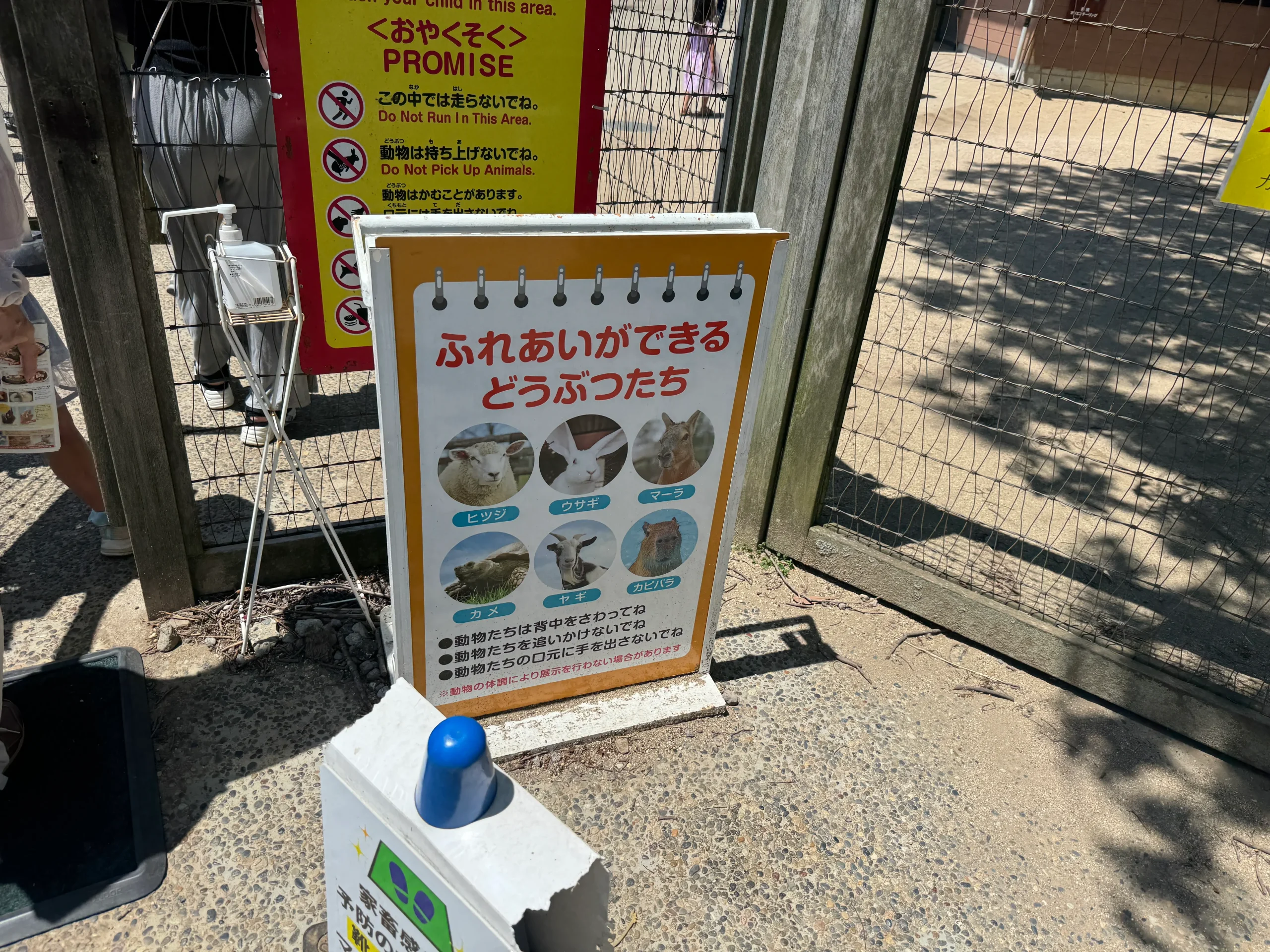 マザー牧場滞在時間に必要なふれあい牧場写真