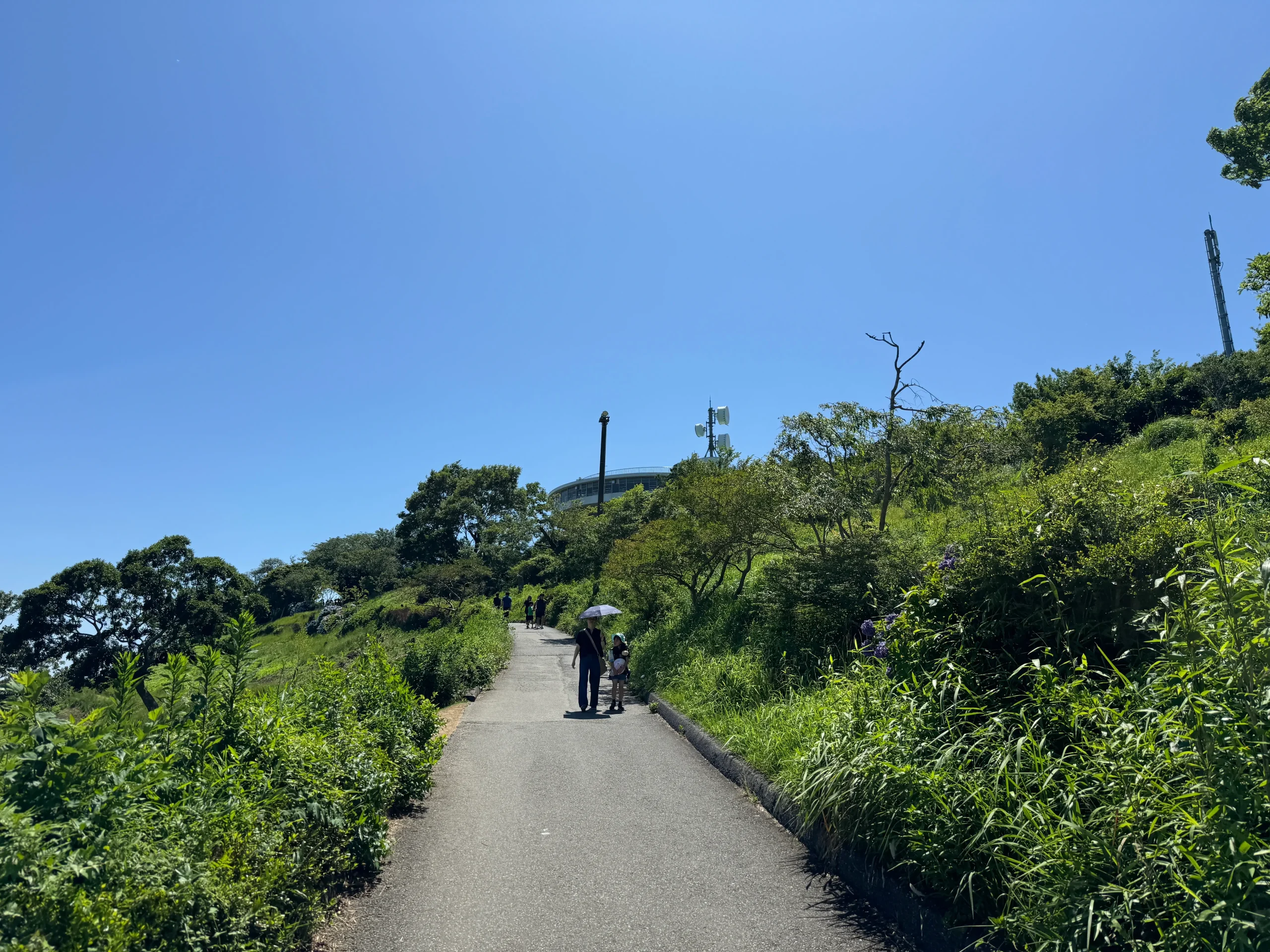 マザー牧場滞在時間の山の上エリアへ行く坂道写真