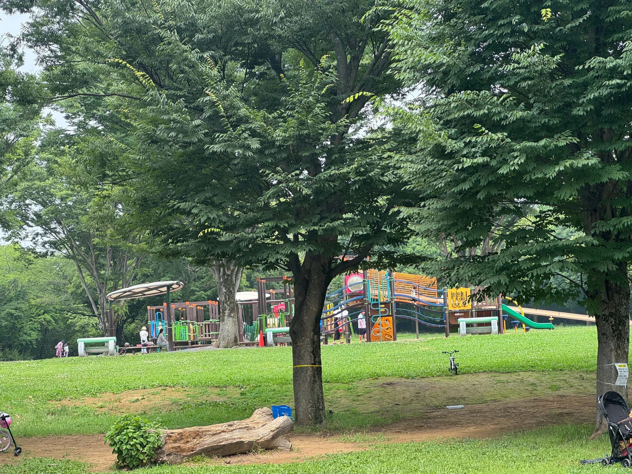 青葉の森公園水遊びの隣にある遊具写真