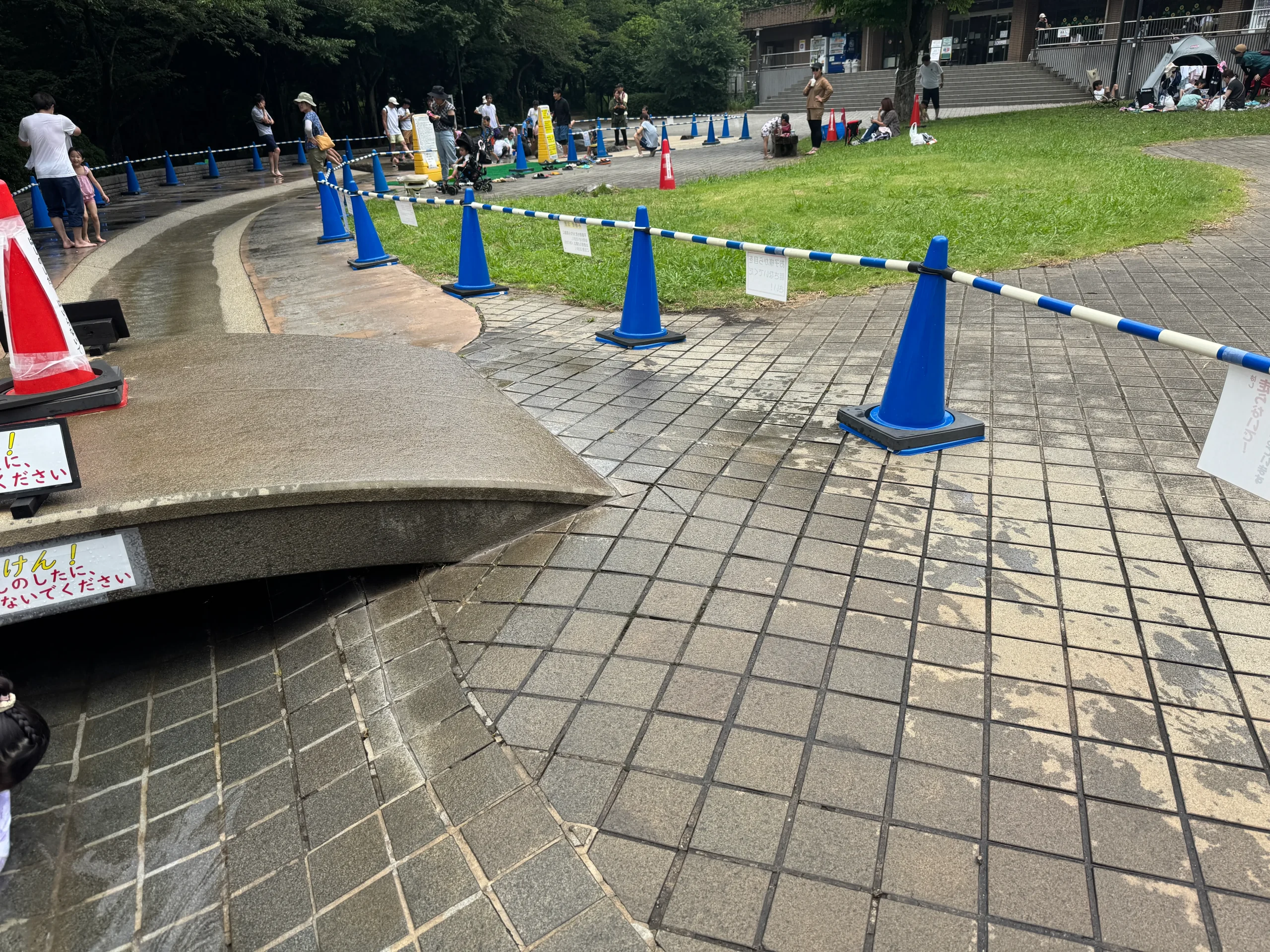 青葉の森公園水遊び中流にある橋付近の写真