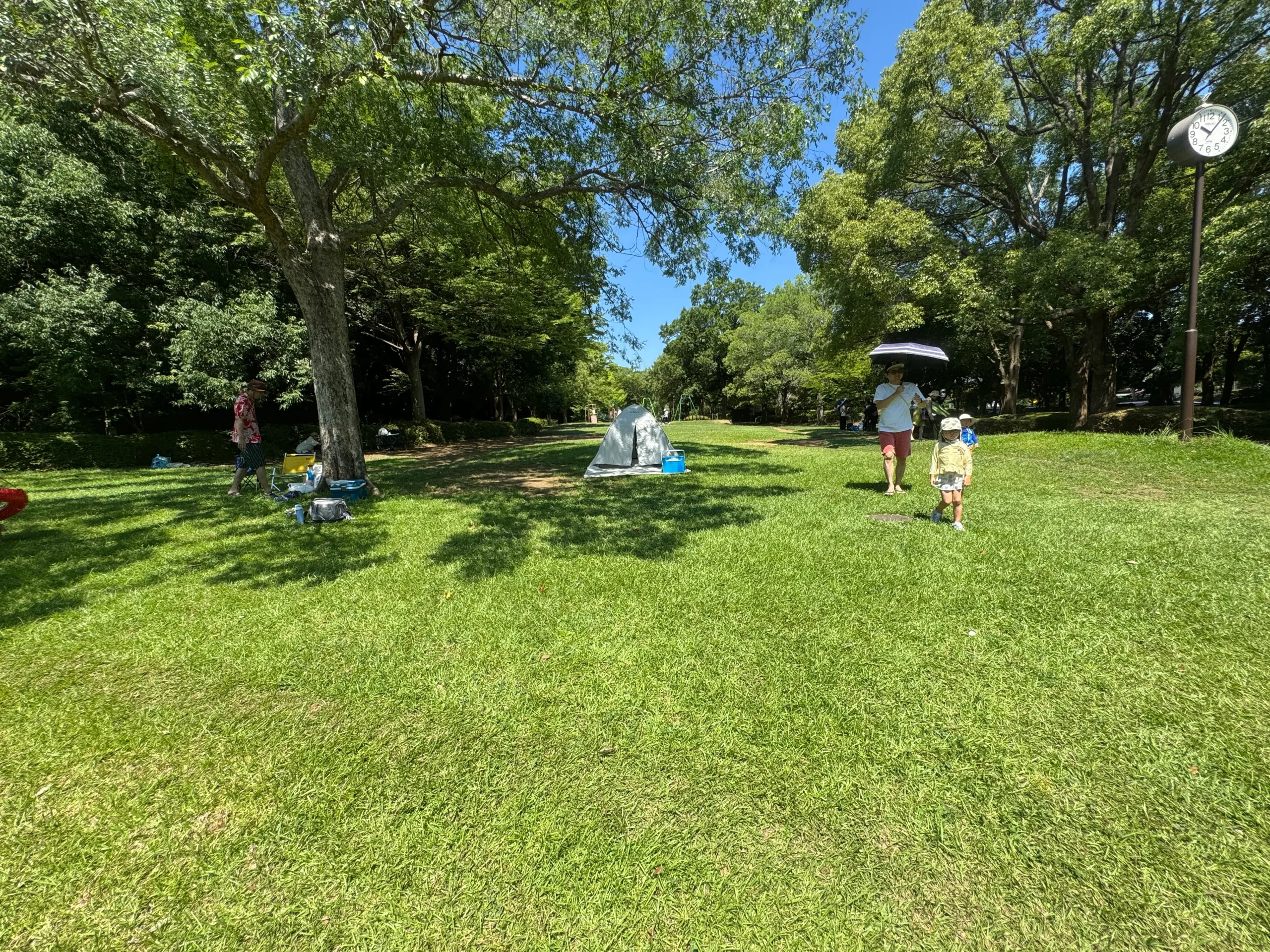 香澄公園じゃぶじゃぶ池の周囲写真