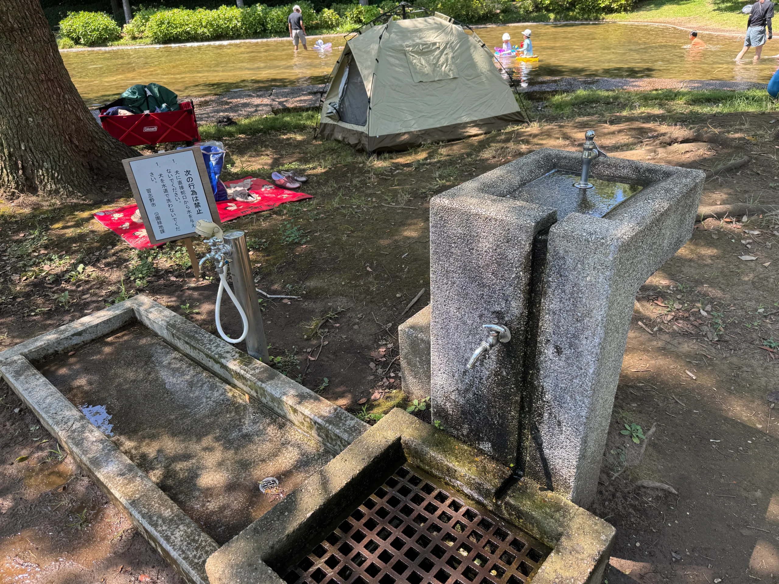 香澄公園じゃぶじゃぶ池のシャワー写真