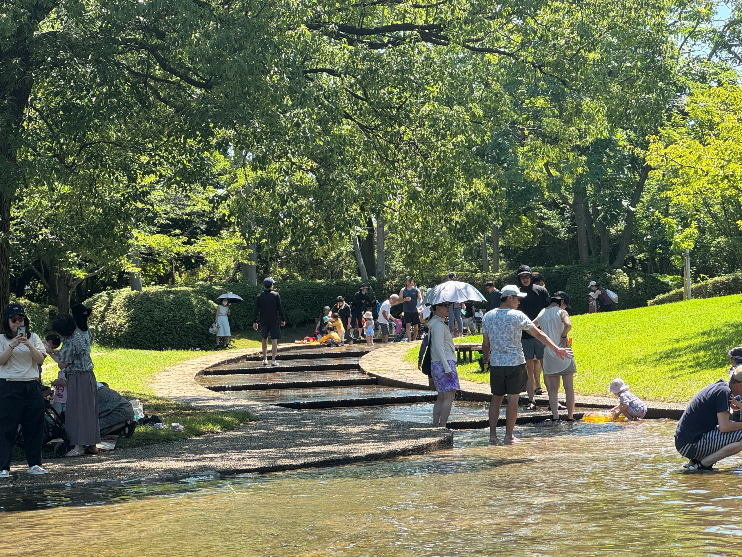 香澄公園の浅い上流部写真