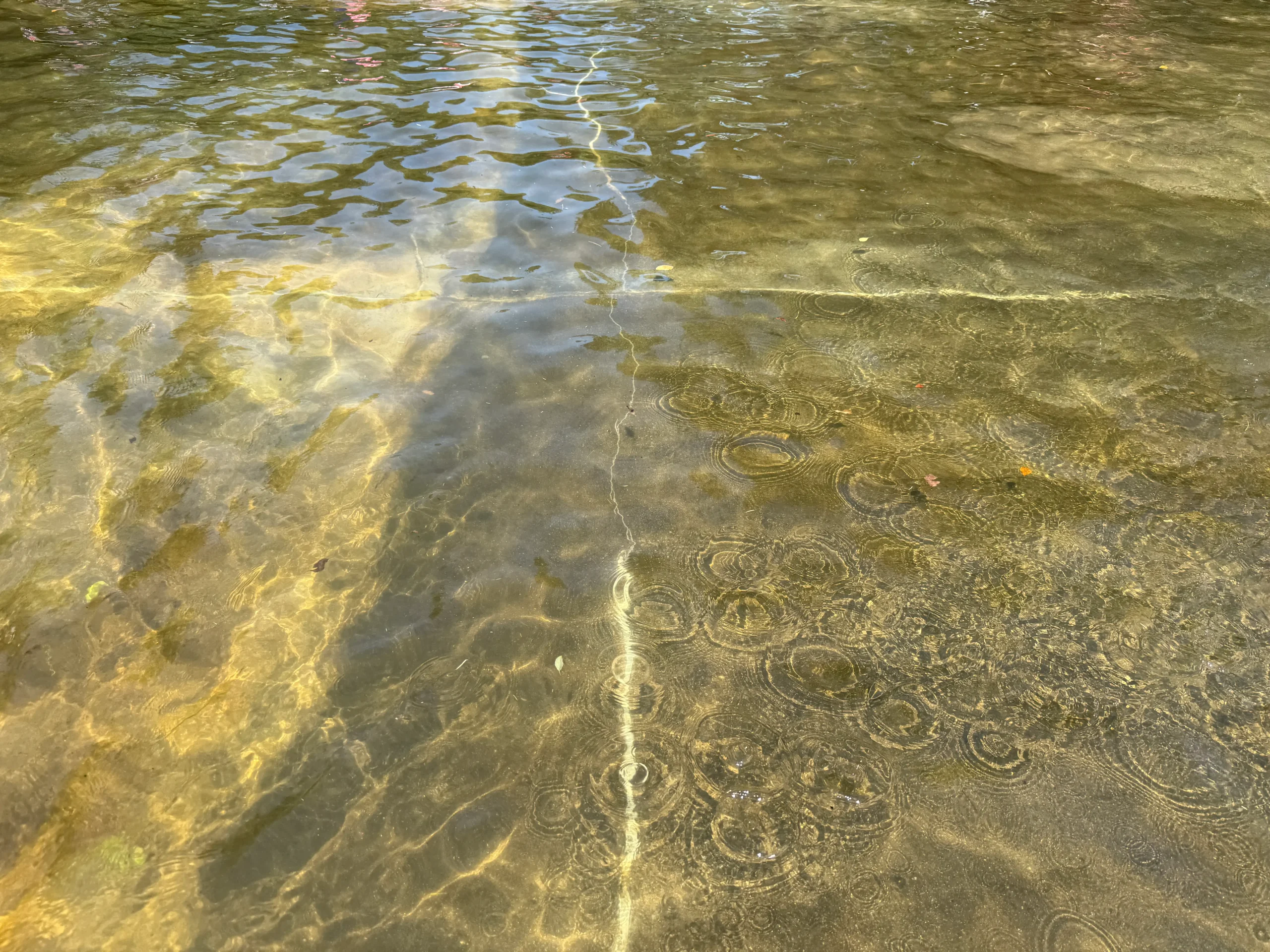 香澄公園じゃぶじゃぶ池の水質写真