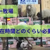 マザー牧場滞在時間のアイキャッチ