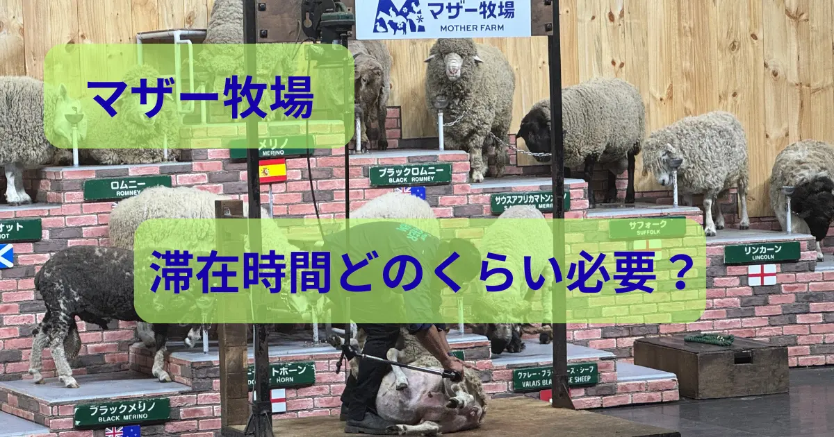 マザー牧場滞在時間のアイキャッチ