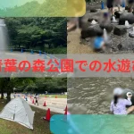 青葉の森公園水遊びアイキャッチ