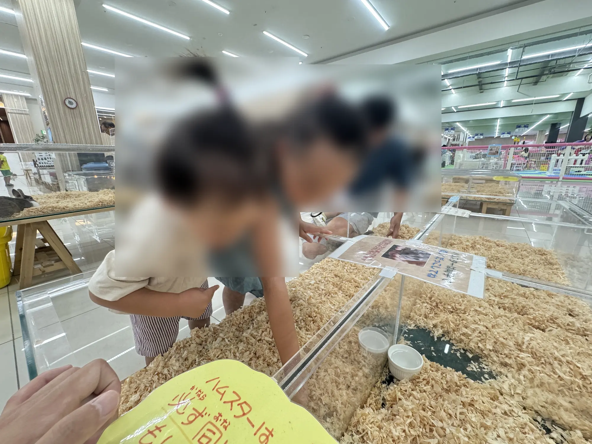 稲毛のいきもの探検隊ではしゃぐ３,６歳の子供達です。