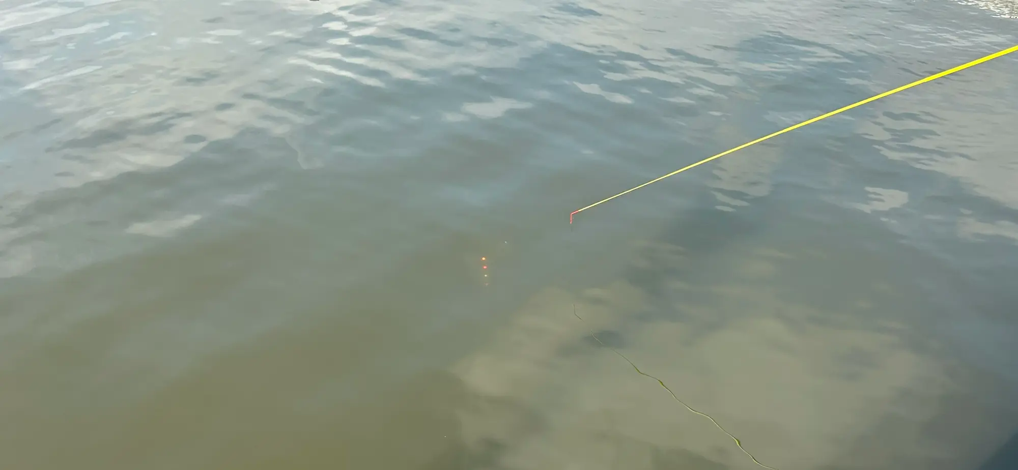 6歳の江戸川マルヤ遊船桟橋でのハゼ釣りでウキを沈めている様子