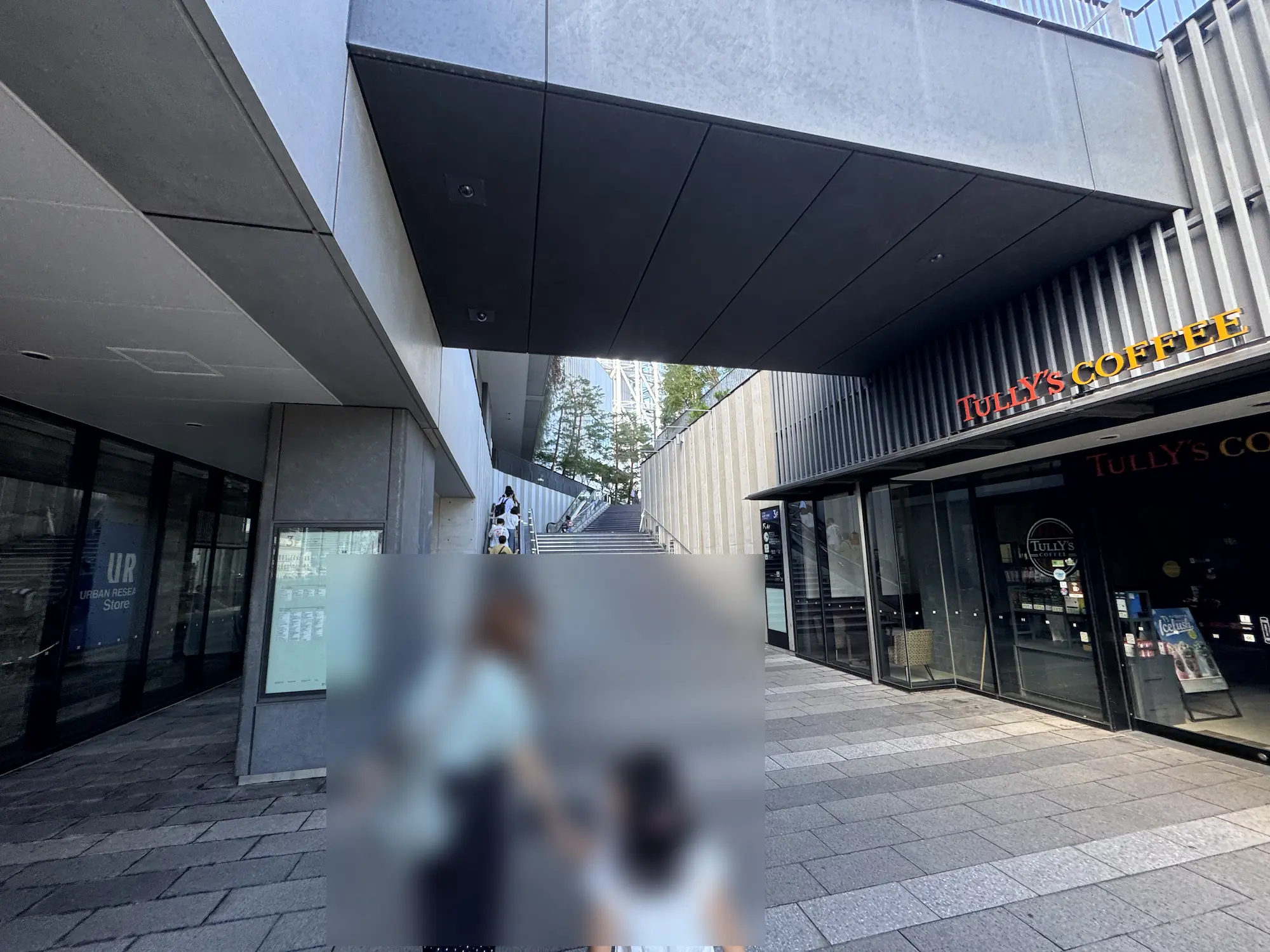 東京スカイツリーまで歩く3歳