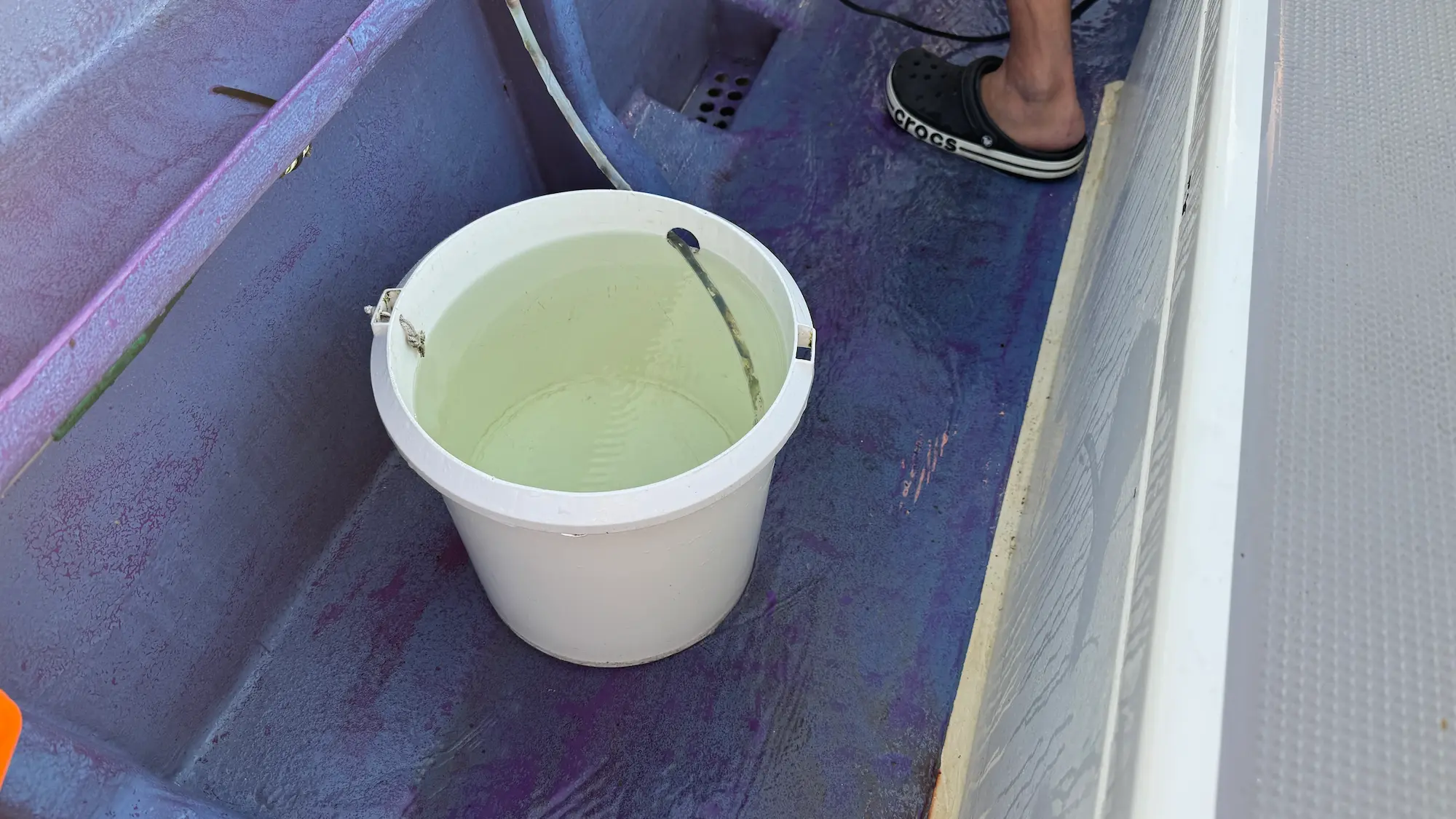 太刀魚の血抜きするバケツ