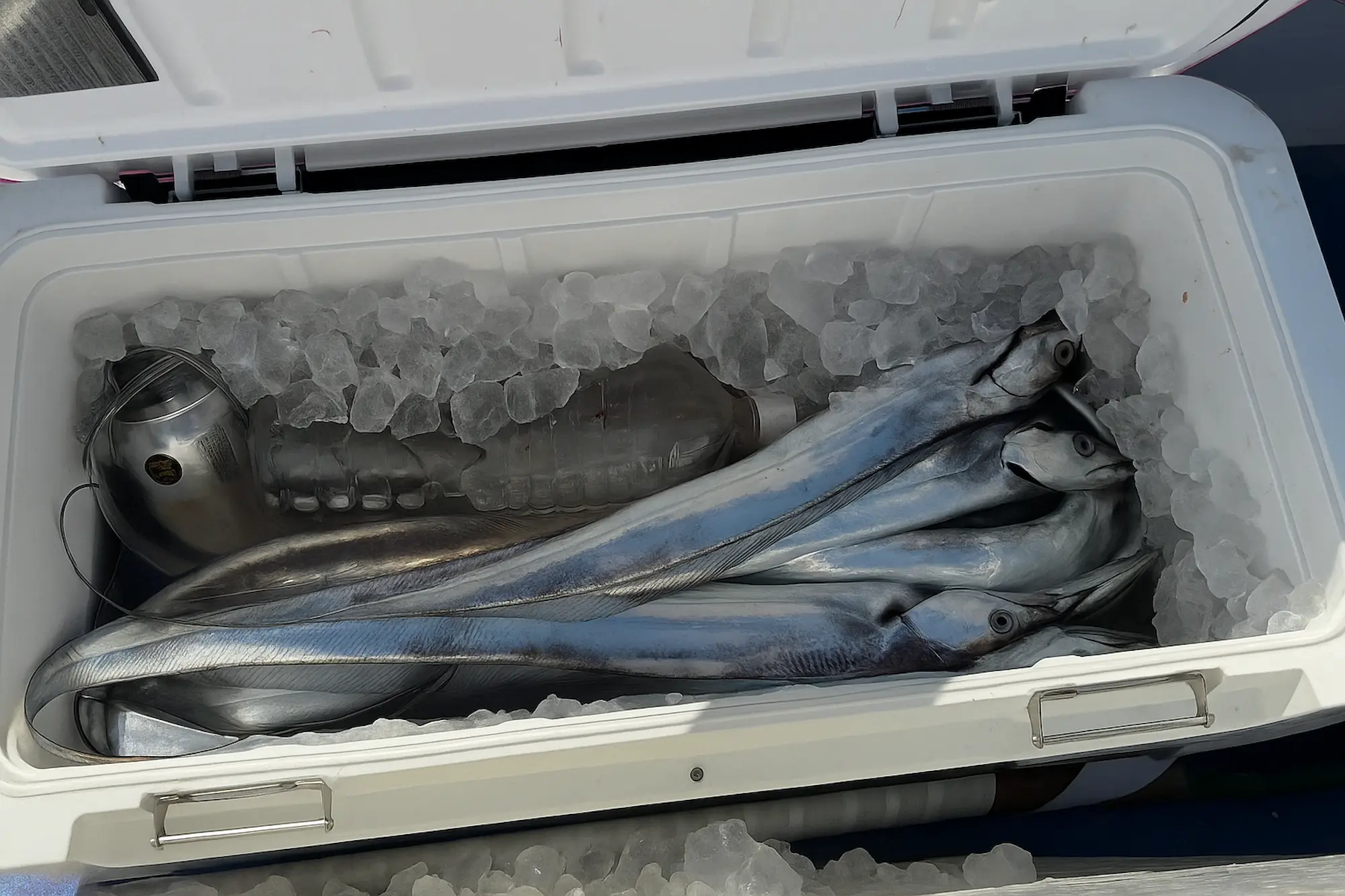 氷の入った太刀魚用クーラーボックス