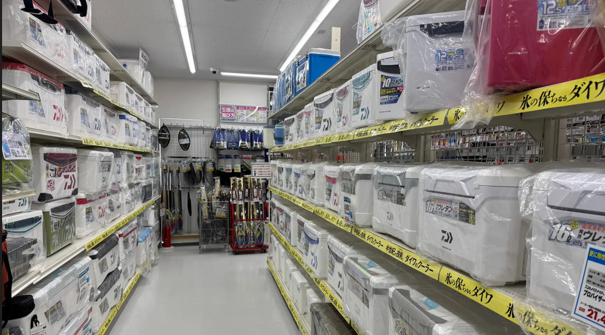 売られている太刀魚用クーラーボックス