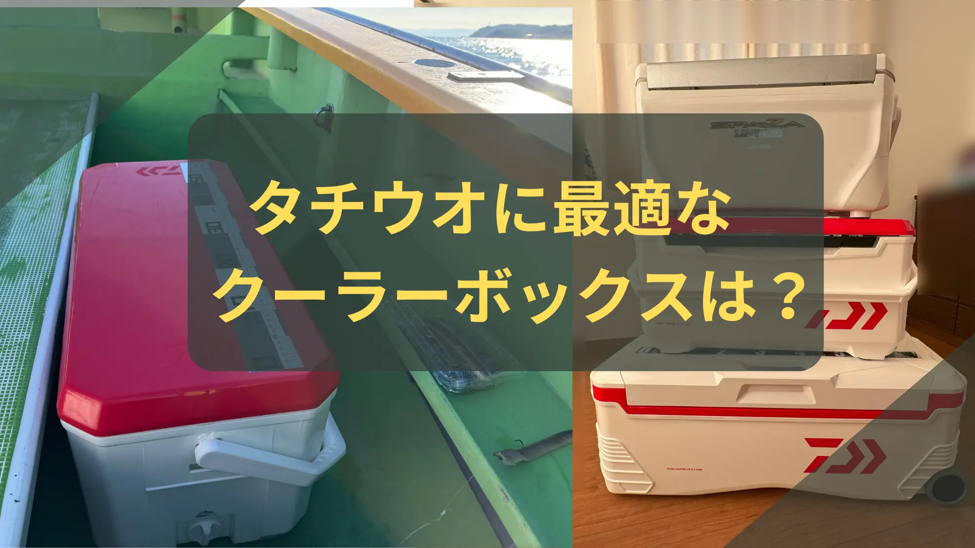 太刀魚用クーラーボックス選びのアイキャッチ