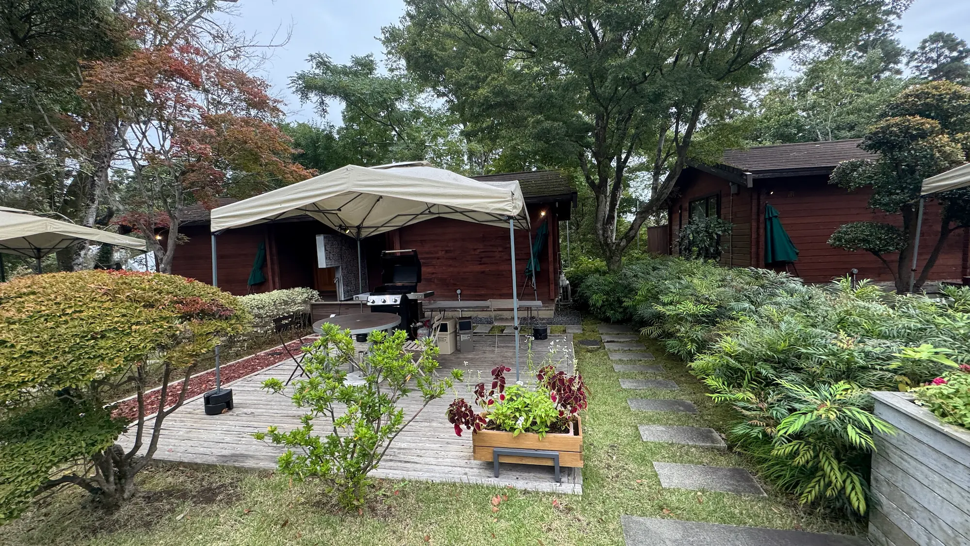 リソルの森のグランピング施設風景