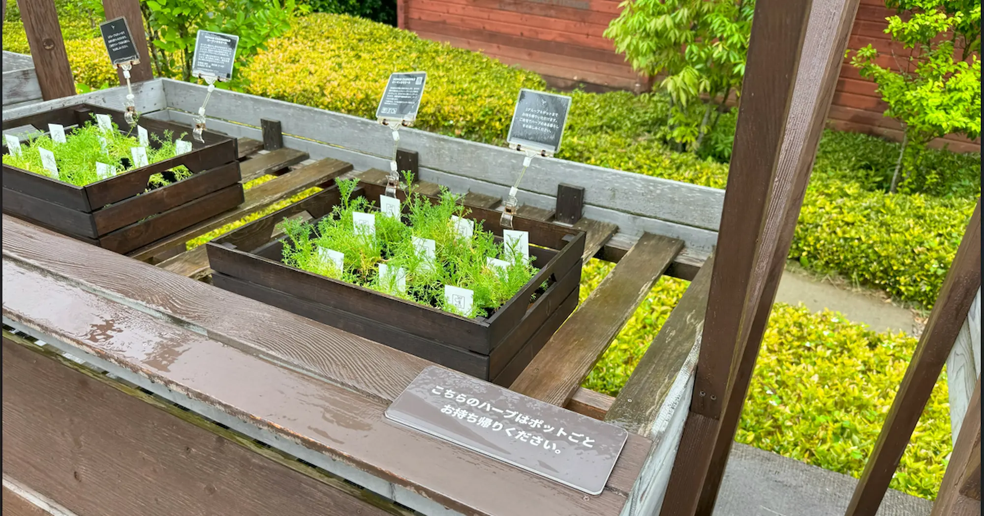 リソルの森のグランピングのグランヴォーショップ