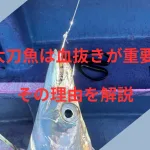 タチウオは血抜きが重要のアイキャッチ