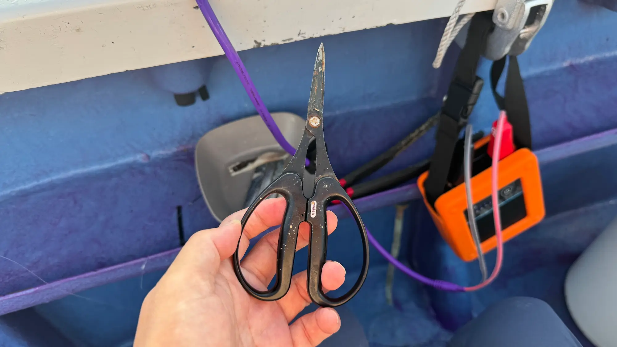 太刀魚血抜き用ハサミ