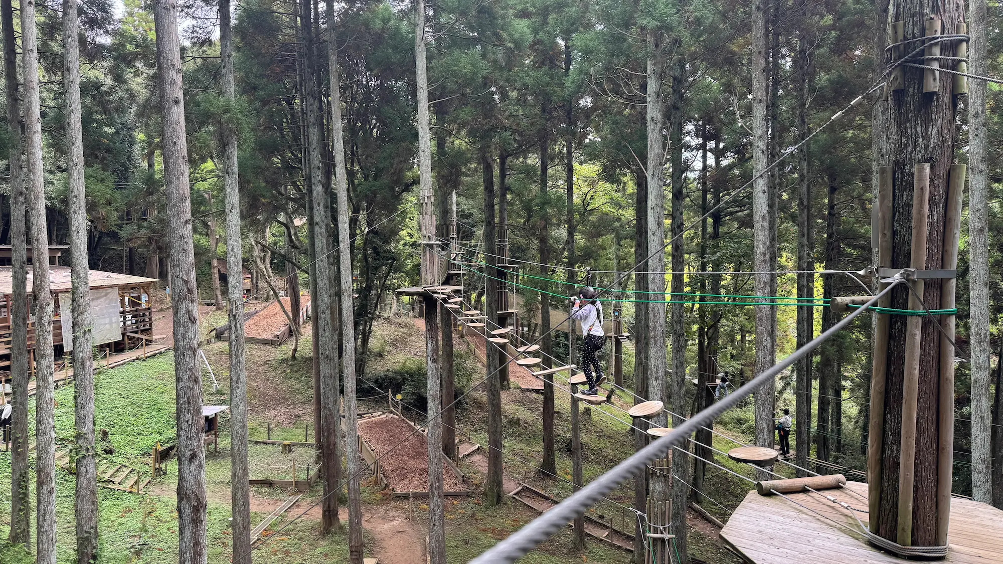 リソルの森のターザニアのコース体験