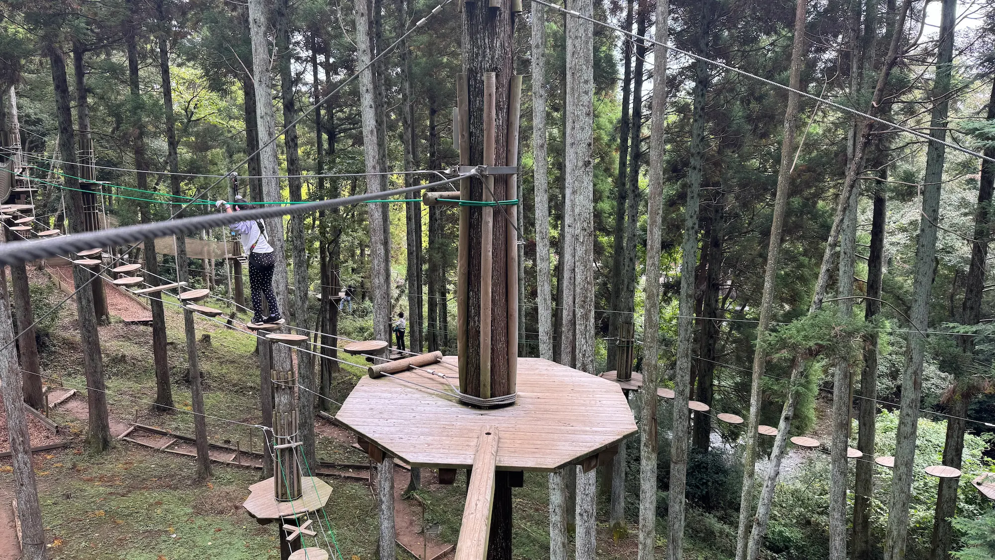 リソルの森のターザニアのコース