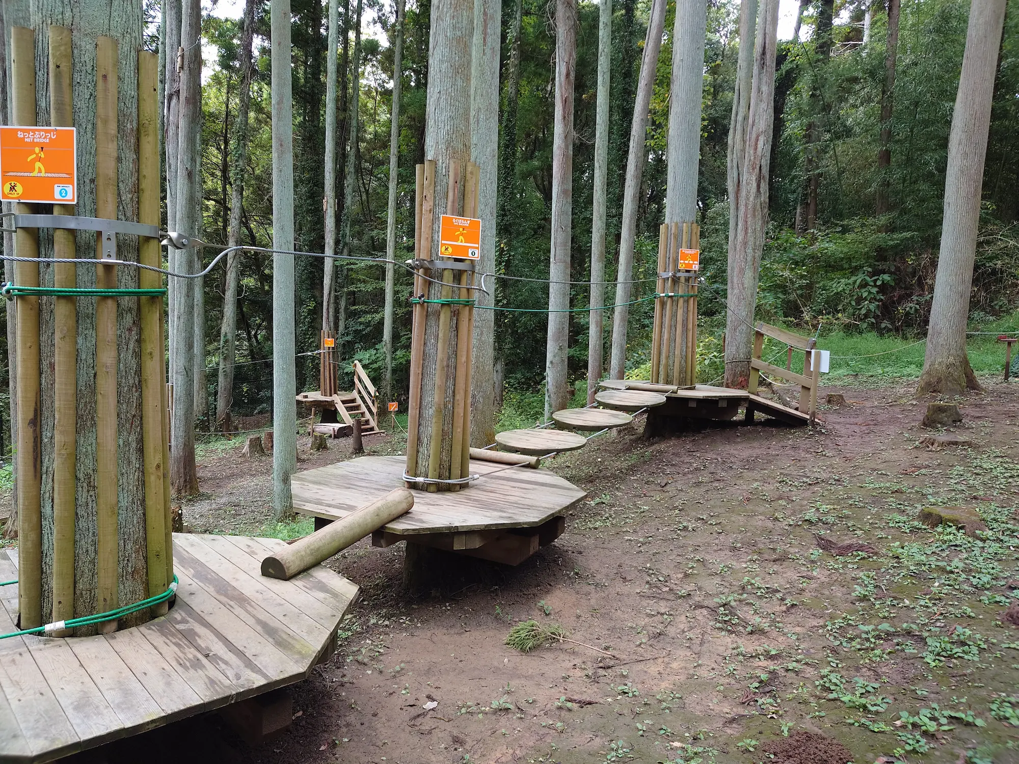 リソルの森のターザニアのキッズコース