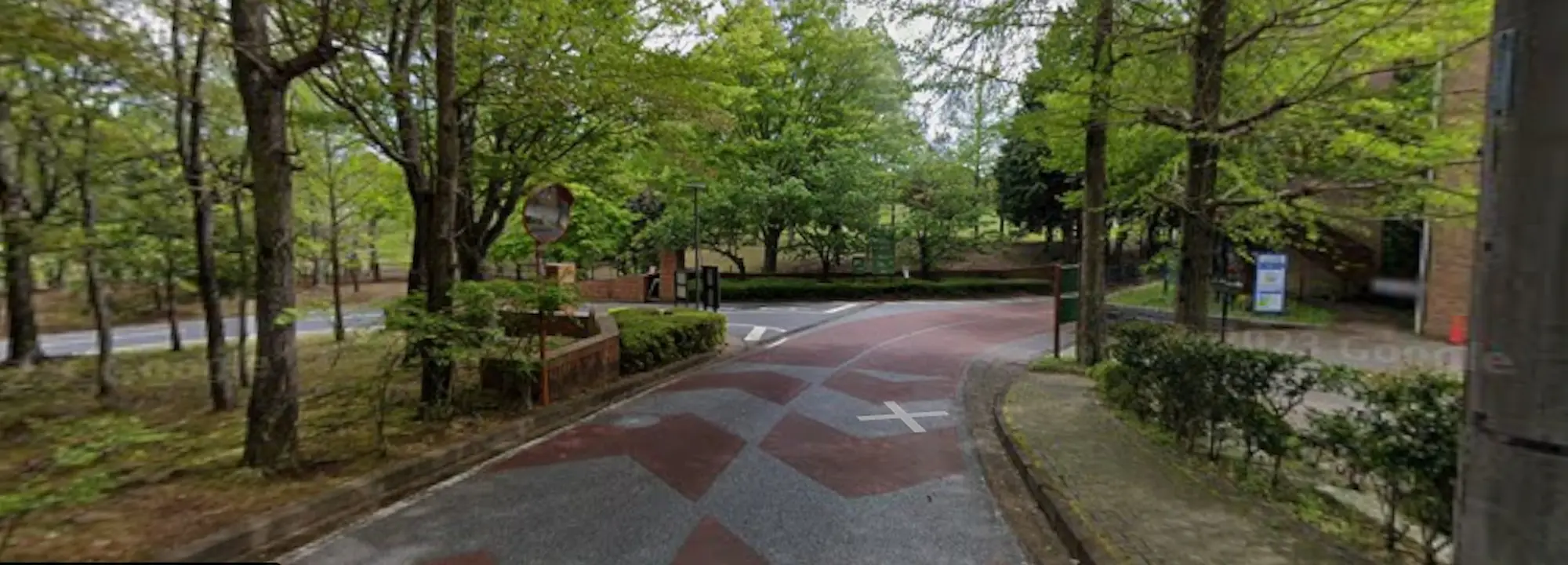 リソルの森メディカルトレーニングセンターへへ行く道